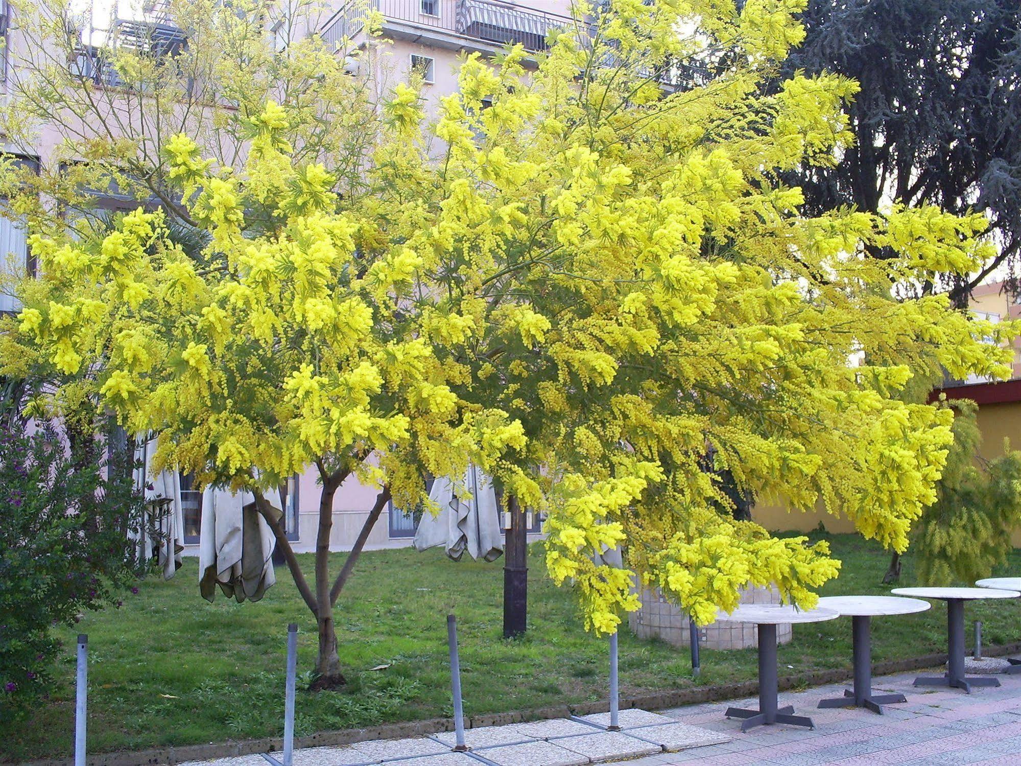Pisani Hotel San Nicola La Strada Luaran gambar